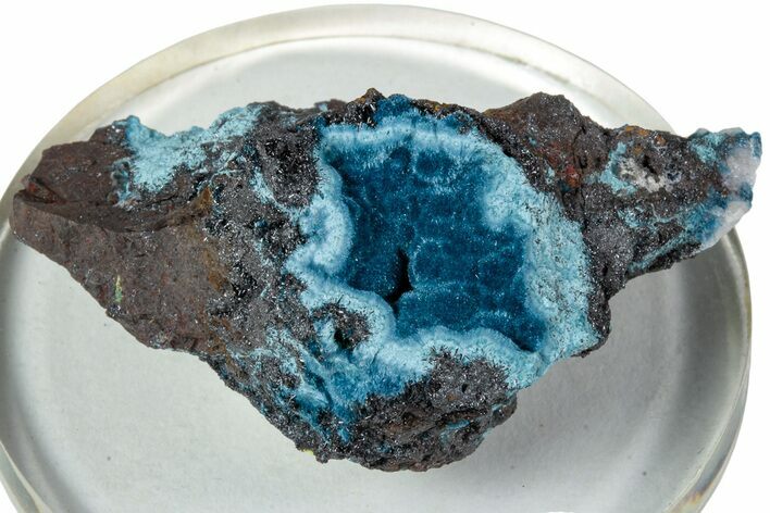 Blue Botryoidal Shattuckite Specimen - Namibia #228986